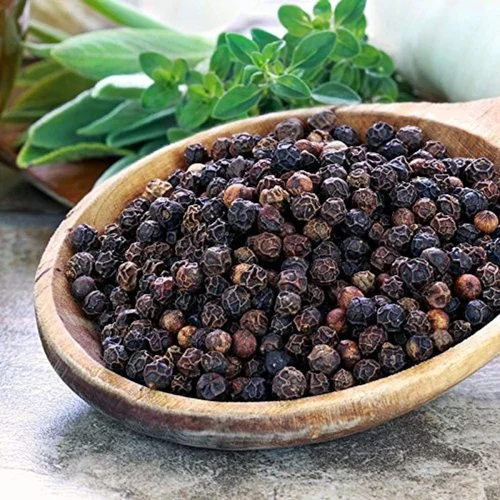  Black Pepper Seeds