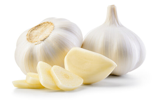 Garlic